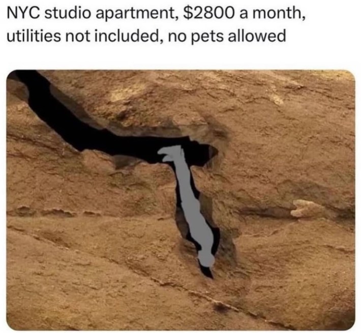 "nyc studio apartment, $2800 a month, utilites not included, no pets allowed" cave diver meme