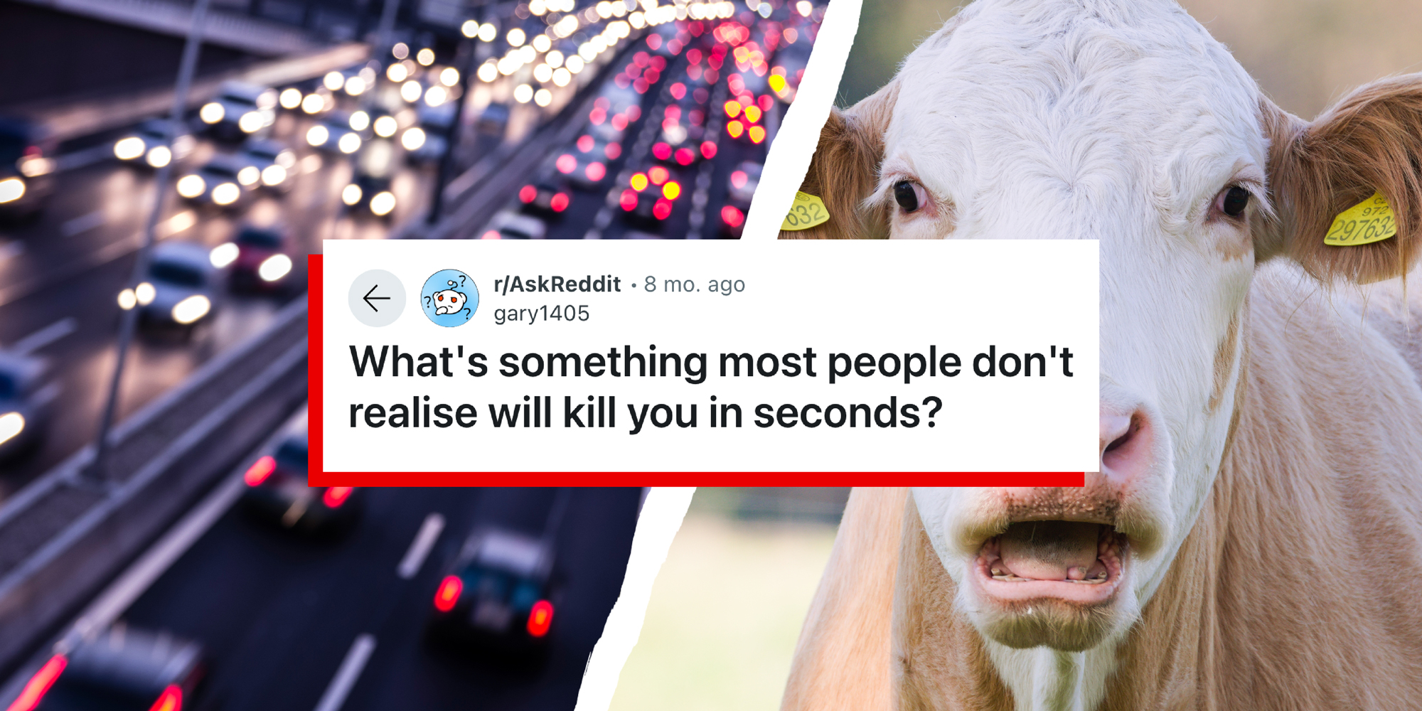 2 panel image: on the left is rushing freeway traffic and on the right is a cow. In the middle is a reddit thread with the prompt: What's something most people don't realise will kill you in seconds?