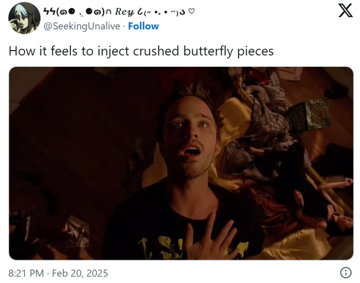 breaking bad tweet that reads "How it feels to inject crushed butterfly pieces"