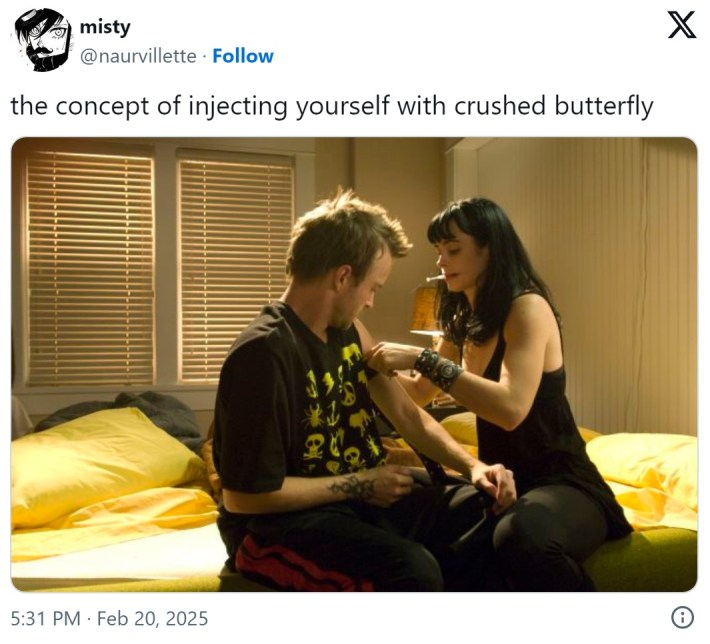 the concept of injecting yourself with crushed butterfly