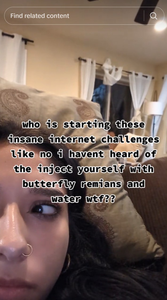 who is starting these insane internet challenges like no i havent heard of the inject yourself with butterfly remains and water wtf