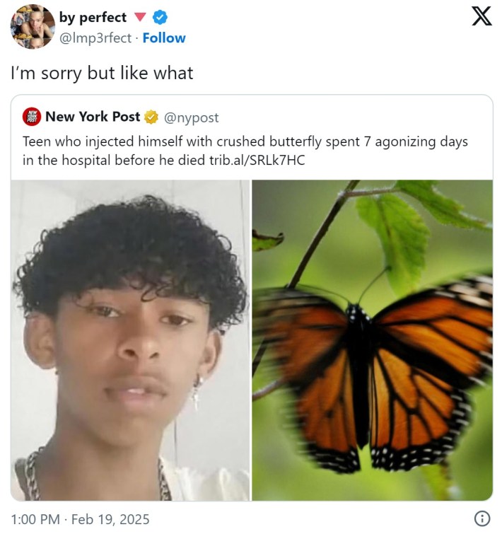 I’m sorry but like what crushed butterfly