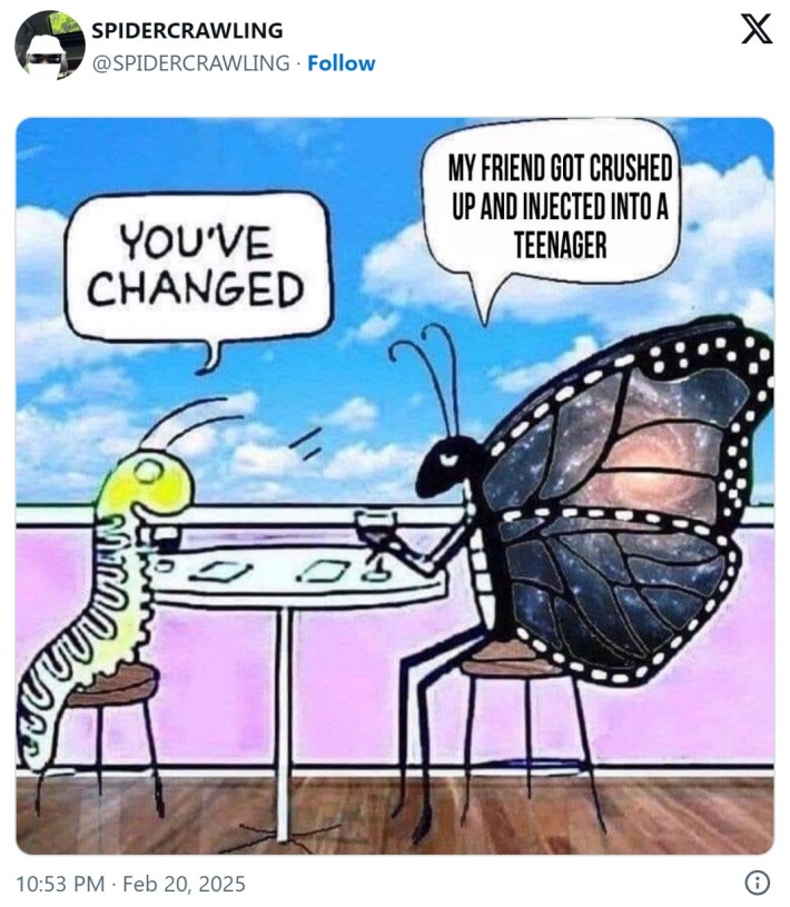 crushed butterfly you've changed meme