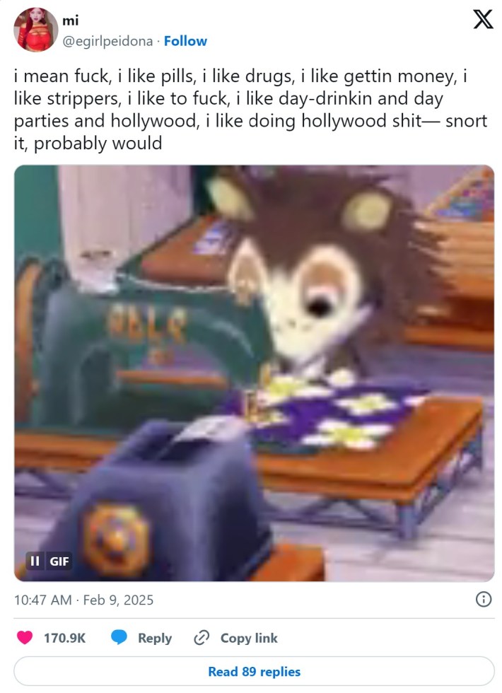 animal crossing doechii meme