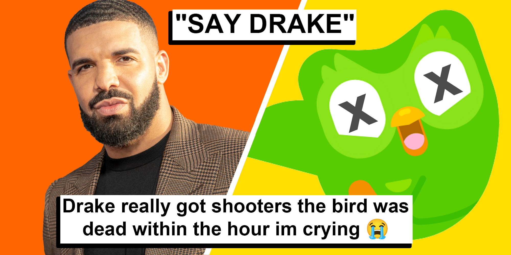 Drake(l) Duolingo owl(r) with text over "Say drake"(top), "Drake really got shooters the bird was dead within the hour im crying"(bottom)