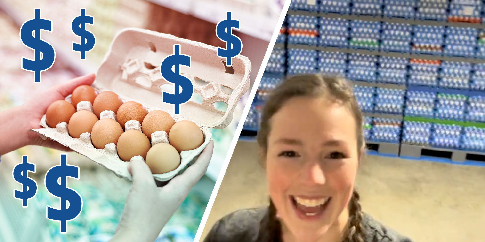 A photo of hands holding a carton of eggs with dollar signs floating around it; a screenshot of Tiktok user @_emily_martin__ in front of hundreds of cartons of eggs.