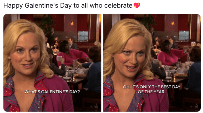 galentine's day meme. Text reads, "Happy Galentine's Day to all who celebrate (heart emoji)" with Leslie Knope from Parks & Rec talking to a camera saying, "What's Galentine's Day? Oh, it's only the best day of the year."
