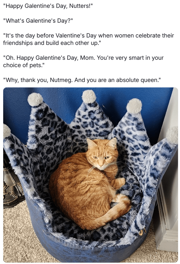 galentine's day meme. Text is a conversation between a cat owner and their orange cat, who is lying in a princess bed shaped like a crown.