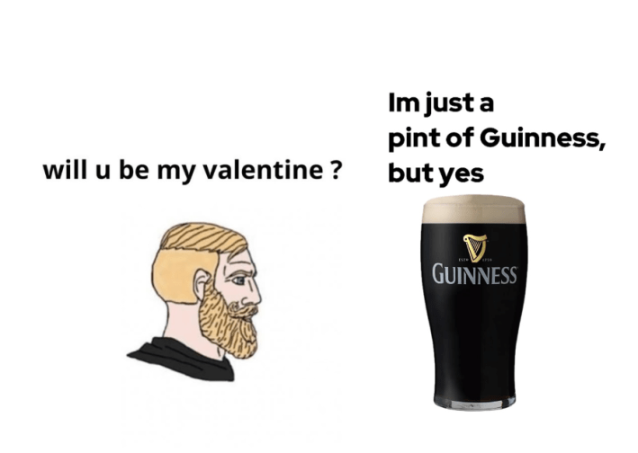 galentine's day meme. Text reads, "will u be my valentine? / Im just a pint of Guinness, but yes."