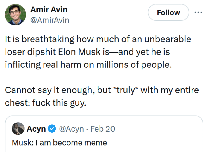 Tweet reading "It is breathtaking how much of an unbearable loser dipshit Elon Musk is—and yet he is inflicting real harm on millions of people. Cannot say it enough, but *truly* with my entire chest: fuck this guy."