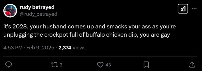 it’s 2028, your husband comes up and smacks your ass as you're unplugging the crockpot full of buffalo chicken dip, you are gay