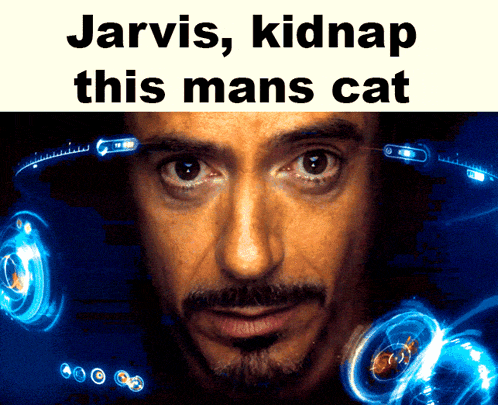 jarvis, kidnap this man's cat
