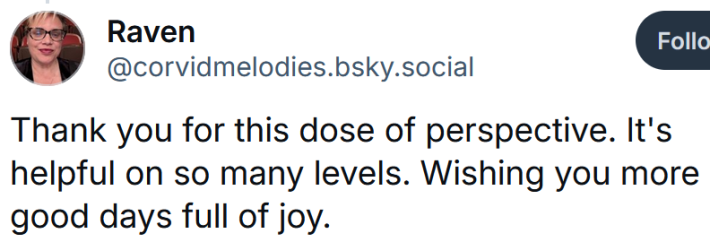 Bluesky post reading "Thank you for this dose of perspective. It's helpful on so many levels. Wishing you more good days full of joy."