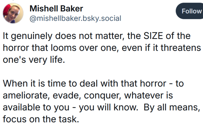 Bluesky post reading "It genuinely does not matter, the SIZE of the horror that looms over one, even if it threatens one's very life. When it is time to deal with that horror - to ameliorate, evade, conquer, whatever is available to you - you will know. By all means, focus on the task."