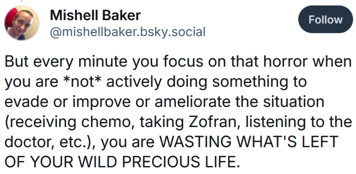 Bluesky post reading "But every minute you focus on that horror when you are *not* actively doing something to evade or improve or ameliorate the situation (receiving chemo, taking Zofran, listening to the doctor, etc.), you are WASTING WHAT'S LEFT OF YOUR WILD PRECIOUS LIFE."