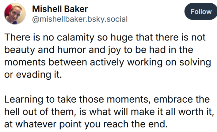 Bluesky post reading "There is no calamity so huge that there is not beauty and humor and joy to be had in the moments between actively working on solving or evading it. Learning to take those moments, embrace the hell out of them, is what will make it all worth it, at whatever point you reach the end."