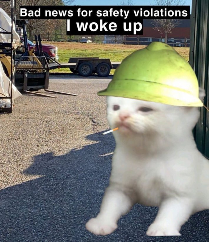 Andy Biggs OSHA meme of a kitten in a hard hat at a work site reading "Bad news for safety violations I woke up."