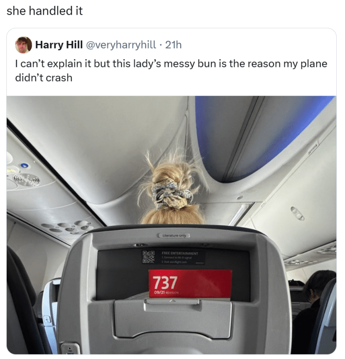 Plane crash meme, text reads, "she handled it" with a quote tweet of a woman in a plane with a very tall messy bun and text that says, "I can’t explain it but this lady’s messy bun is the reason my plane didn’t crash"