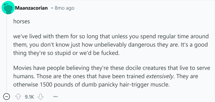 Reddit comment about something that kills you, explaining horses are dumb but heavy and can kill you if you're not careful.