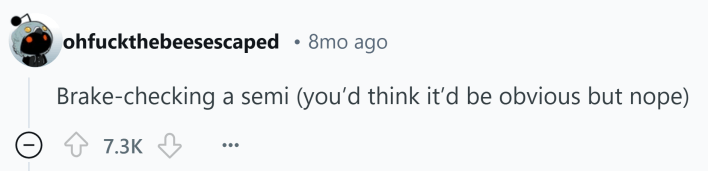 Reddit comment about something that kills you. Text reads, "Brake-checking a semi (you’d think it’d be obvious but nope)"