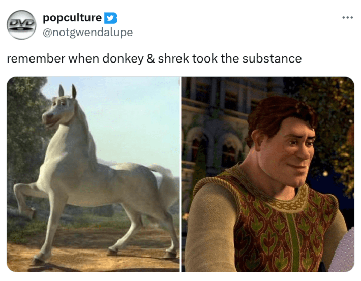 Shrek 5 reaction meme. Text reads, "remember when donkey & shrek took the substance" with screencaps of horse and human Donkey and Shrek.