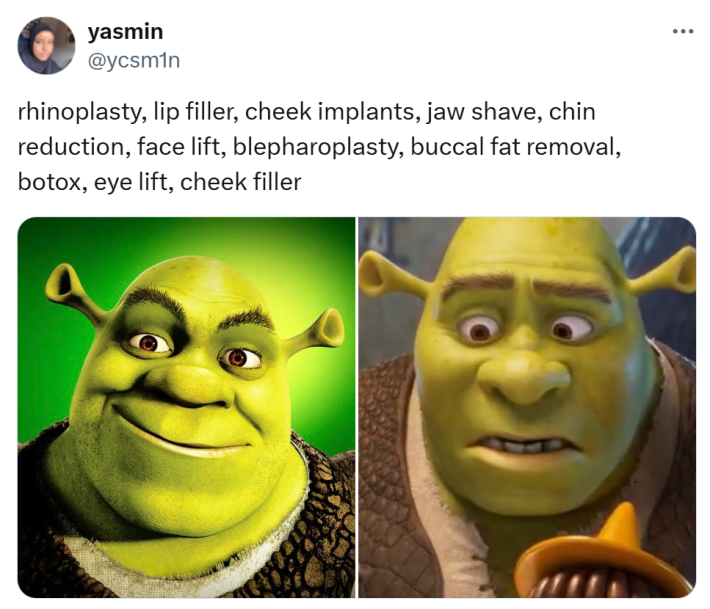 Shrek 5 reaction meme. Text reads, "rhinoplasty, lip filler, cheek implants, jaw shave, chin reduction, face lift, blepharoplasty, buccal fat removal, botox, eye lift, cheek filler" with side by side images of Shrek.
