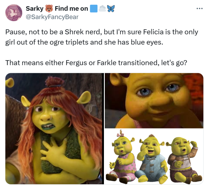 Shrek 5 reaction meme. Text reads, "Pause, not to be a Shrek nerd, but I'm sure Felicia is the only girl out of the ogre triplets and she has blue eyes. That means either Fergus or Farkle transitioned, let's go?"
