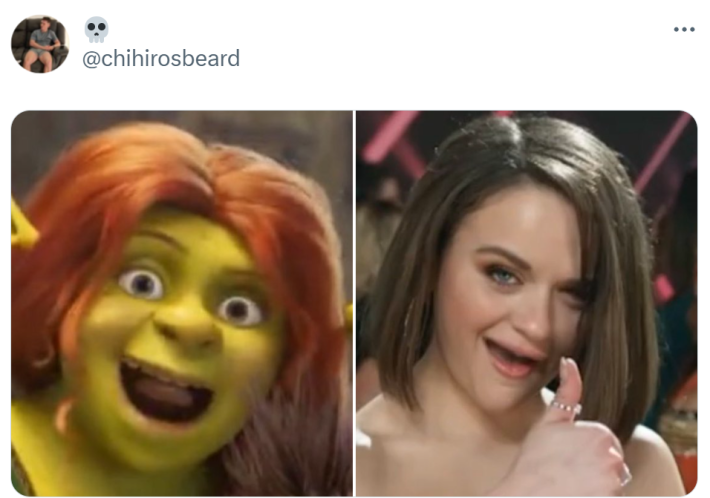 Shrek 5 reaction meme.