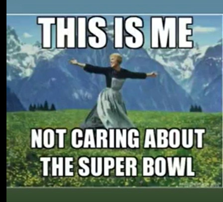 Superbowl meme, text reads, "This is my not caring about the Super Bowl" with the Sound of Music field photo.