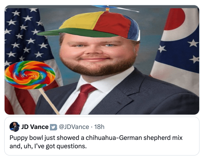Super bowl meme with a stretched out photo of J.D. Vance with a spinning top cap and a lollipop, text J.D. Vance tweeted reads, "Puppy bowl just showed a chihuahua-German shepherd mix and, uh, I’ve got questions."