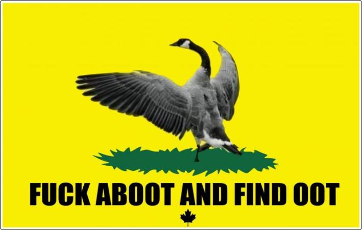 Tariff meme, text reads, "F*ck aboot and find oot" with a Canadian goose on a yellow background in the style of the Texas flag.
