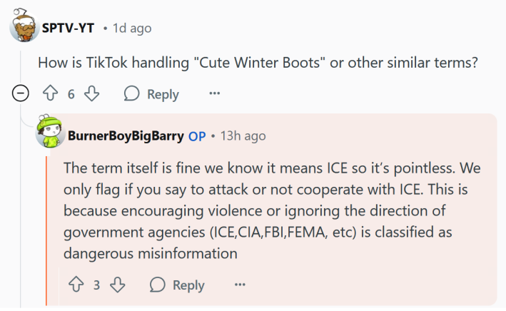 Reddit comment reading "The term itself is fine we know it means ICE so it’s pointless. We only flag if you say to attack or not cooperate with ICE. This is because encouraging violence or ignoring the direction of government agencies (ICE,CIA,FBI,FEMA, etc) is classified as dangerous misinformation"