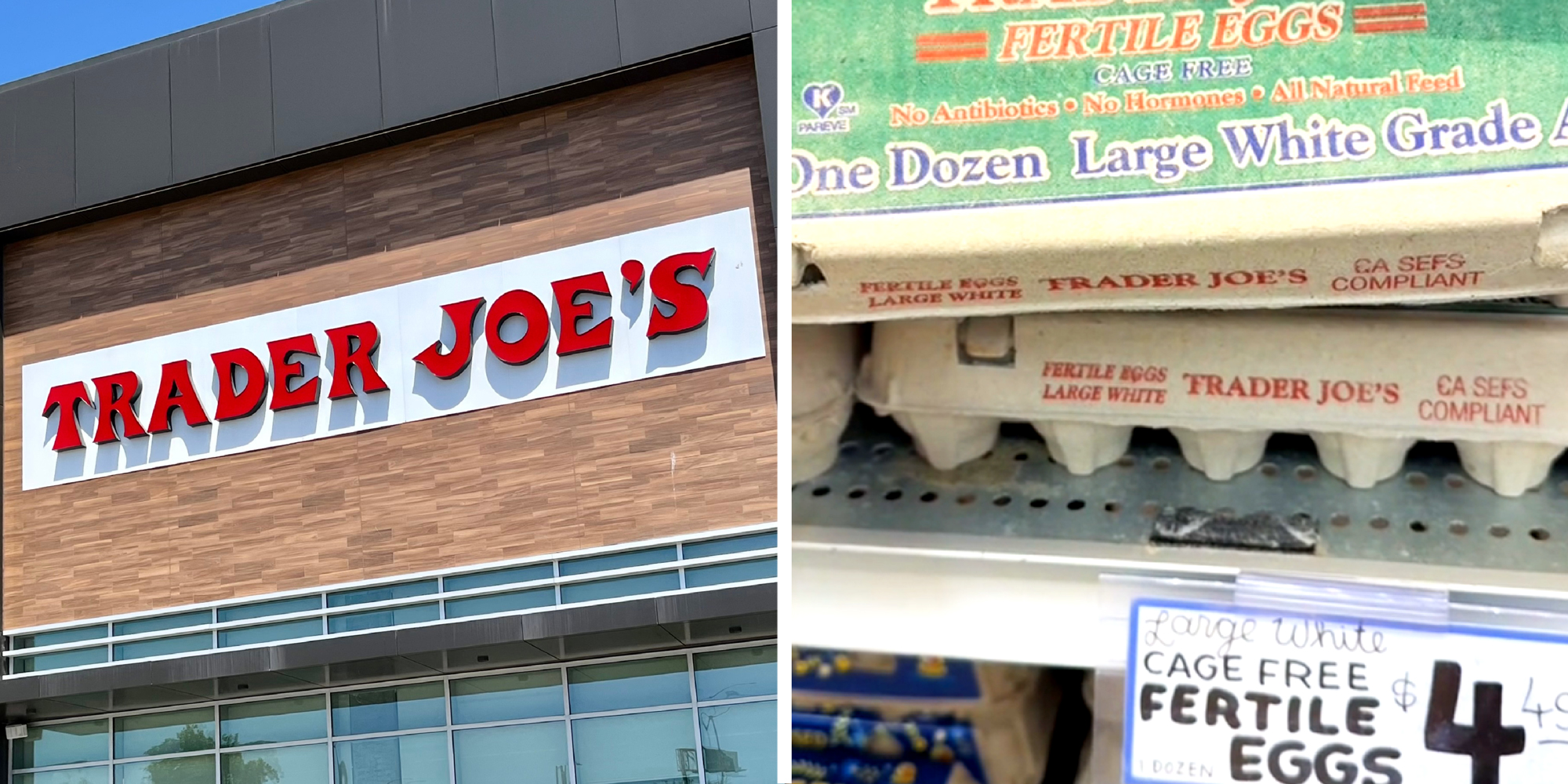 2 panel image: the exterior of a Trader Joe's sign on the left and a display case of eggs on the right.