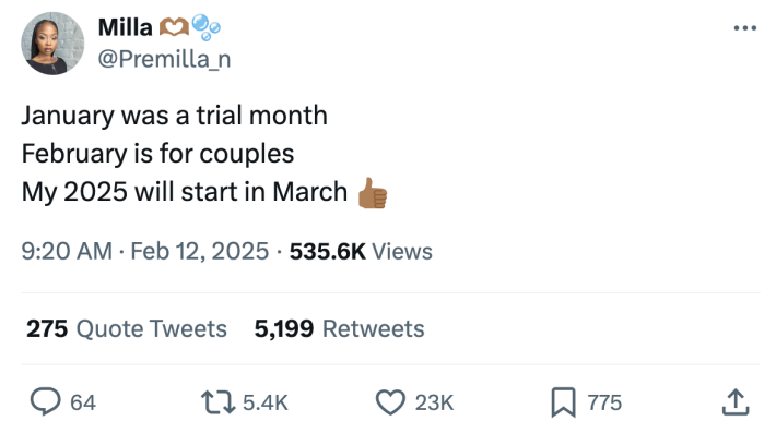 Valentine's Day meme, text reads, "January was a trial month February is for couples My 2025 will start in March (thumbs up emoji)"