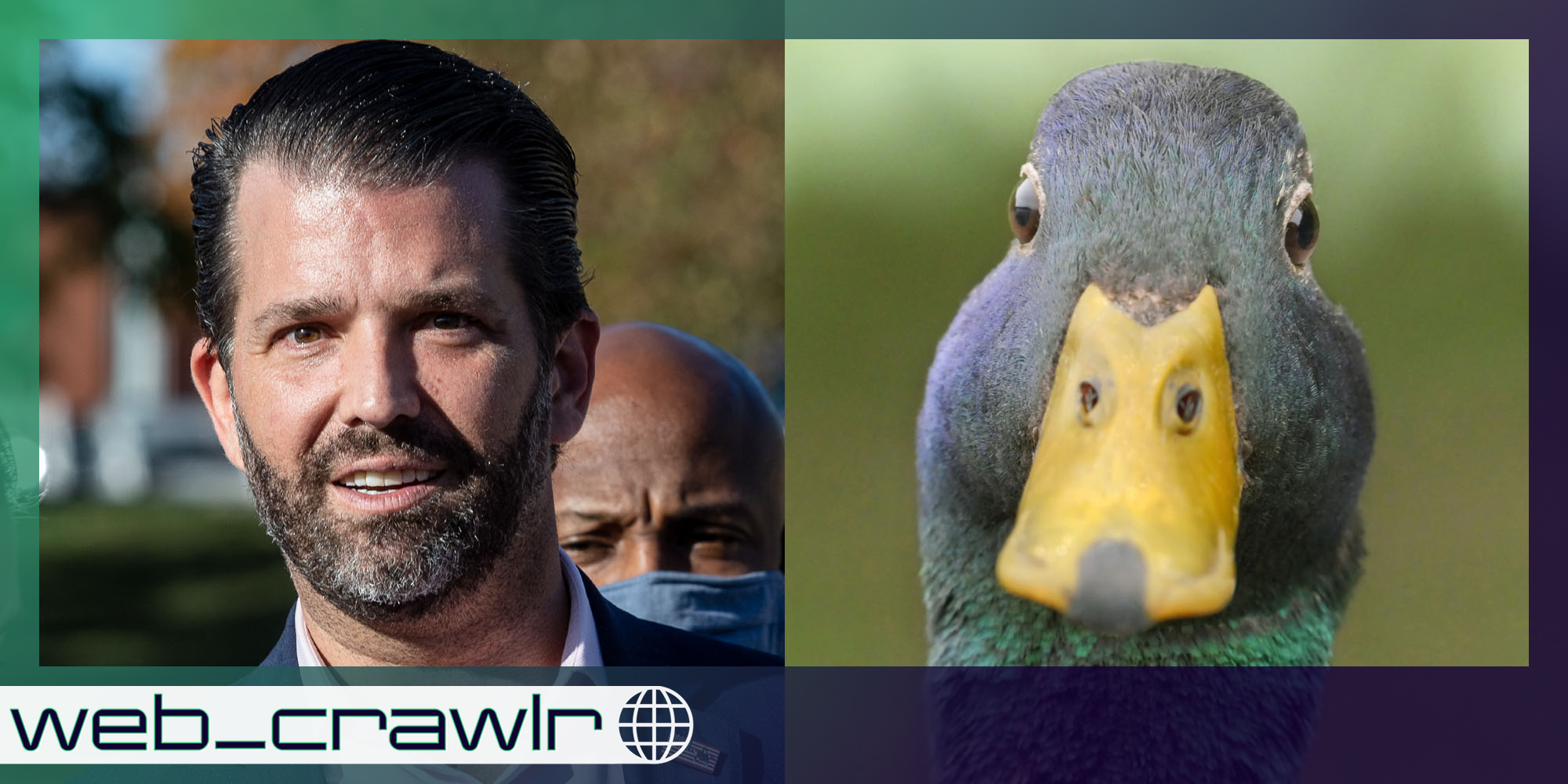 Donald Trump Jr. and a duck. The Daily Dot newsletter web_crawlr logo is in the bottom left corner.