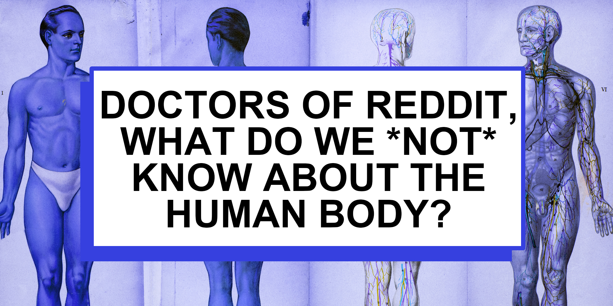 four split of man's body exterior and interior with text over "Doctors of reddit, what do we *not* know about the human body?"