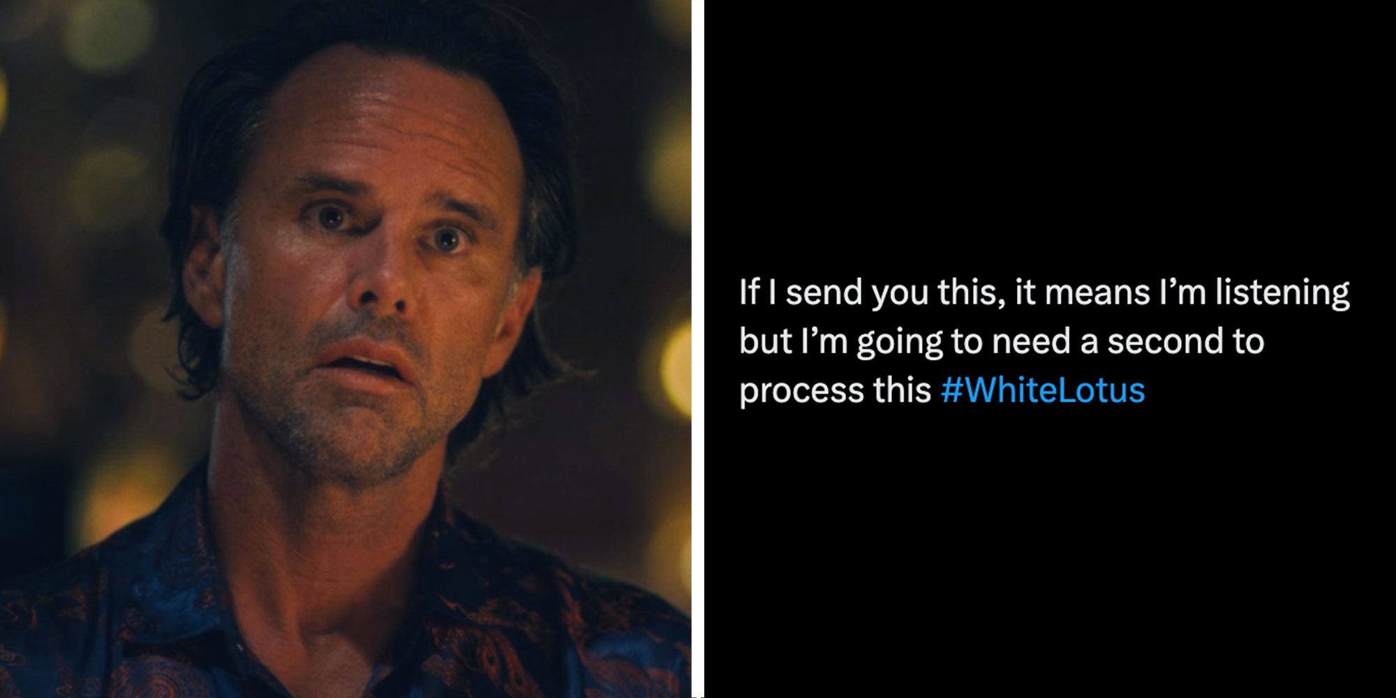 Two panel design with a man looking shocked and confused at the same time, next to text reading "If I send you this, it means I'm listening byt I'm going to need a second to process this #WhiteLotus"