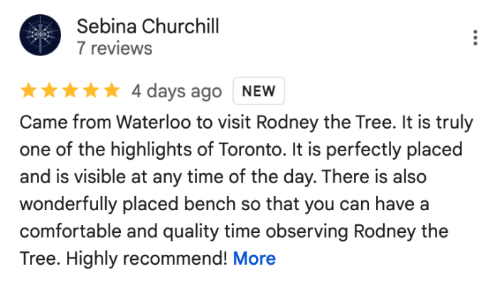 Google review 1