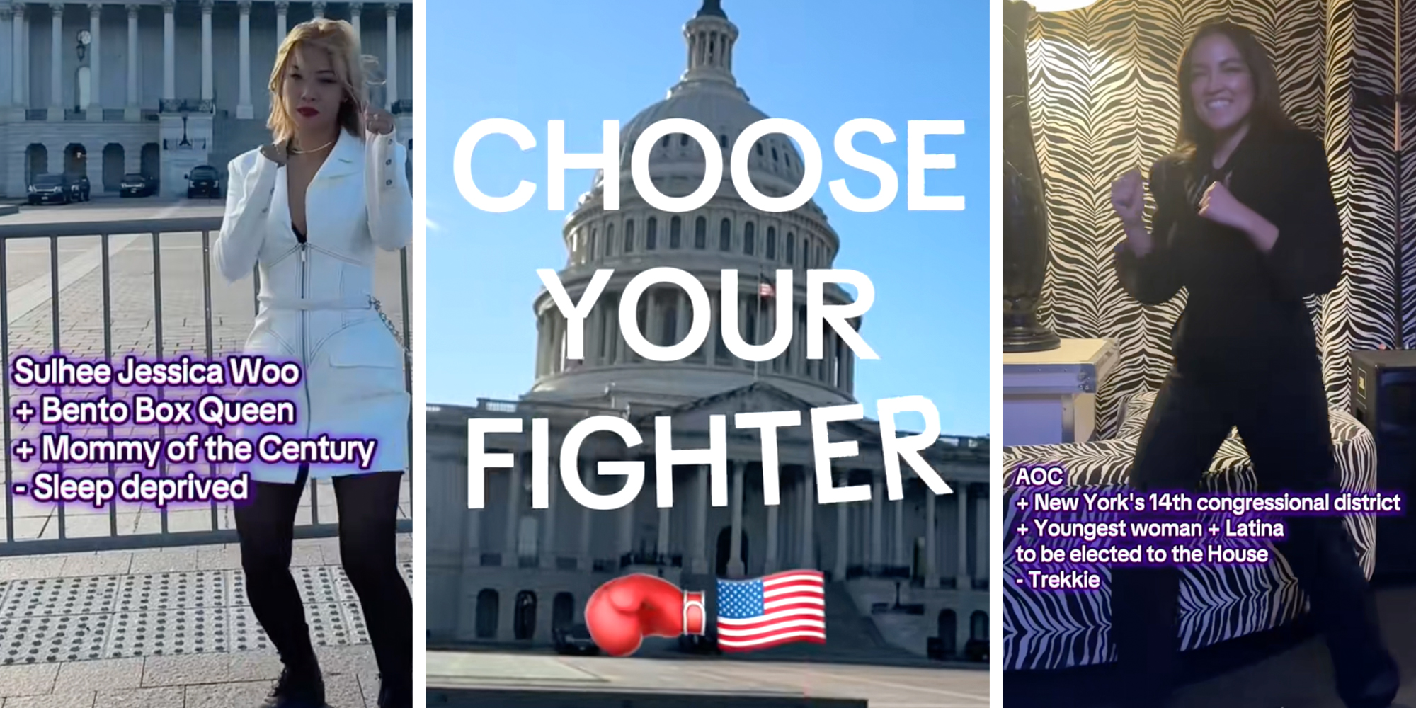 Woman standing with text "sulhee jessica woo +bento box queen + mommy of the century - sleep deprived"(l), Capitol building with text "choose your fighter"(c), AOC in fighter pose with text "AOC + New York's 14th congressional district +Youngest woman + Latina to be elected to the House - Trekkie"(r)