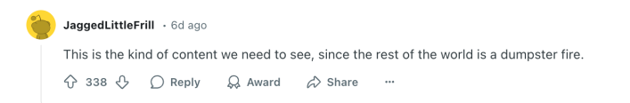 Reddit comment
