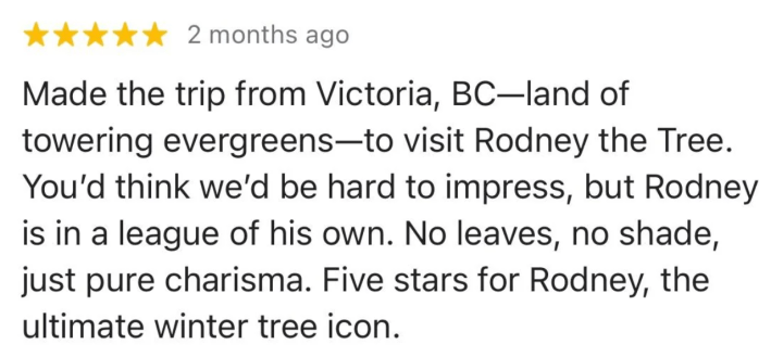 Reddit screenshot review