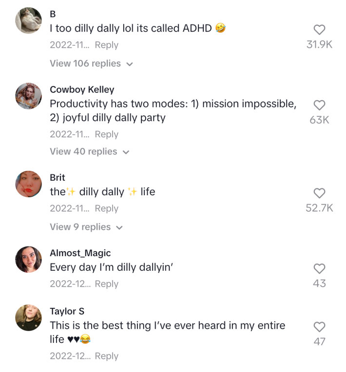 A photo of positive comments reacting to the idea of dilly dallying