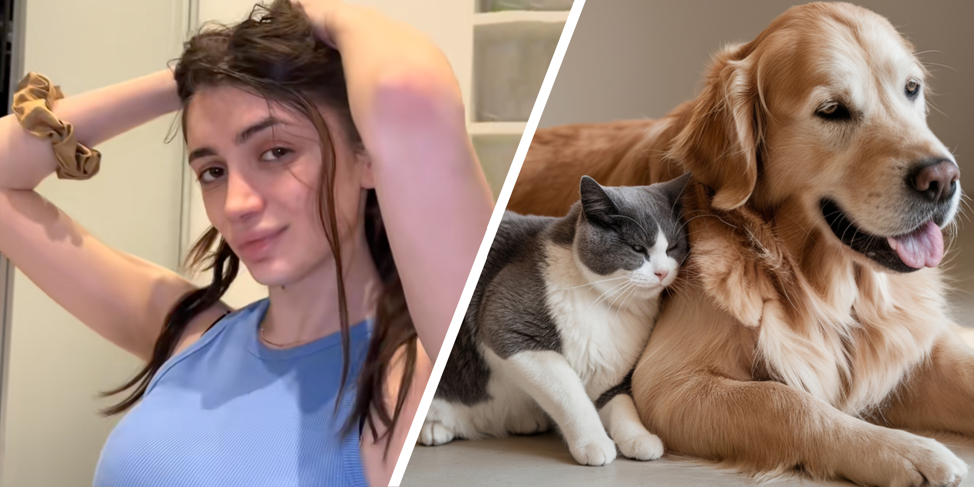 Woman talking(l), Cat and dog snuggling(r)