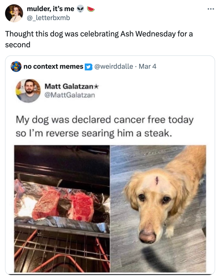Ash Wednesday meme, text reads, "Thought this dog was celebrating Ash Wednesday for a second" with a photo of a cancer-free dog with a scar on his head.