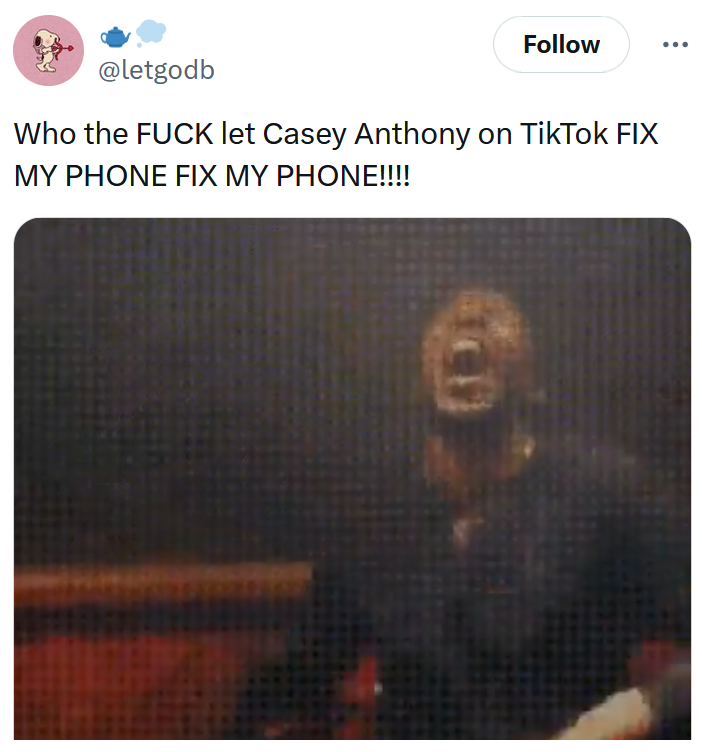 Tweet with a gif of a man screaming and text reading "Who the FUCK let Casey Anthony on TikTok FIX MY PHONE FIX MY PHONE!!!!"
