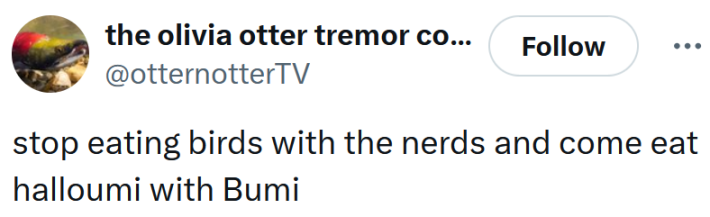 Tweet reading "stop eating birds with the nerds and come eat halloumi with Bumi"