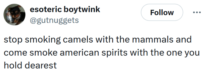 Tweet reading "stop smoking camels with the mammals and come smoke american spirits with the one you hold dearest"