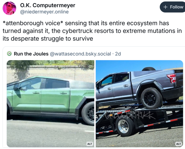 Bluesky quote post reading "*attenborough voice* sensing that its entire ecosystem has turned against it, the cybertruck resorts to extreme mutations in its desperate struggle to survive"