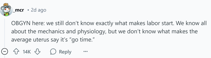 Response to what doctors don't understand about human bodies. Text reads, "OBGYN here: we still don’t know exactly what makes labor start. We know all about the mechanics and physiology, but we don’t know what makes the average uterus say it’s 'go time.'"
