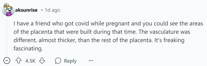 Response to what doctors don't understand about human bodies. Text reads, "I have a friend who got covid while pregnant and you could see the areas of the placenta that were built during that time. The vasculature was different, almost thicker, than the rest of the placenta. It's freaking fascinating."